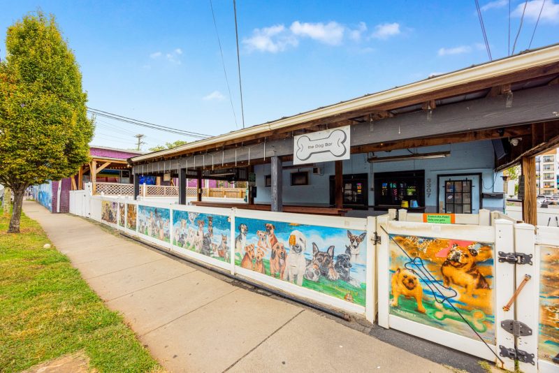 NoDa’s creative spirit to life